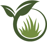 Strive Gardenia Planting