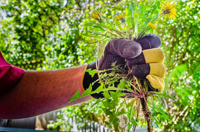 Weeding And Mulching